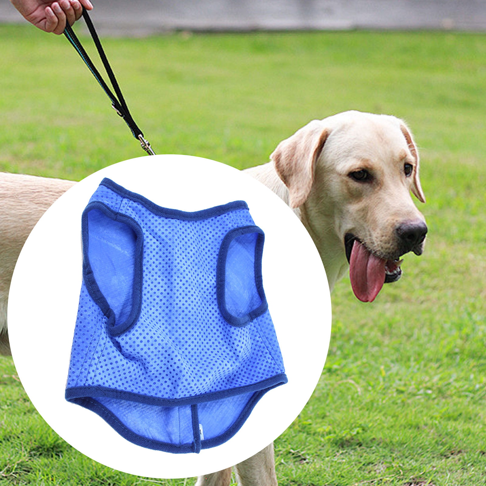 Hond Koelvest Ademend Zomer Me - Outdoor Sport Coat recensie en prijs